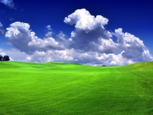 Green_Grass_Blue_Sky_Bliss